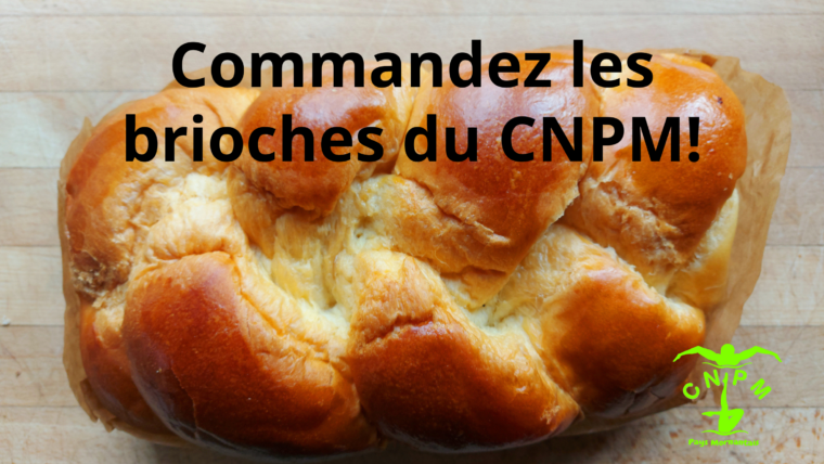 Commandez les brioches du CNPM!